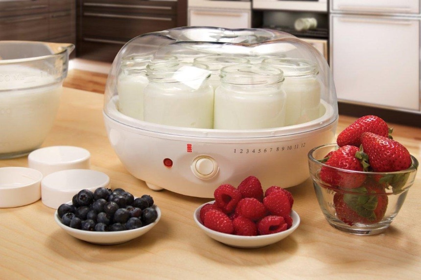 9 Joghurtbereiter Test – Wählen Sie selbst die Zutaten für Ihren Joghurt (Frühling 2023)
